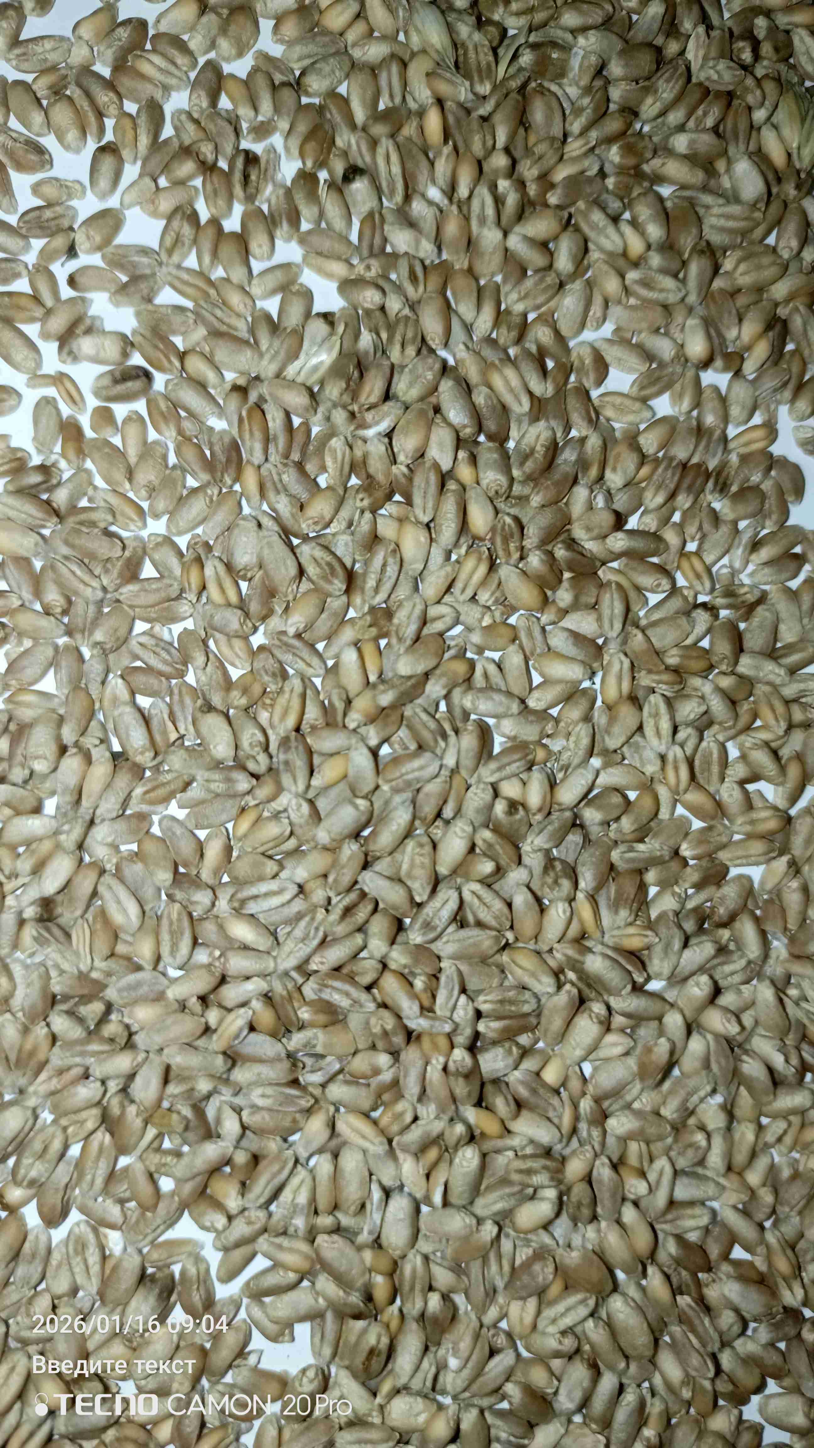 Превью