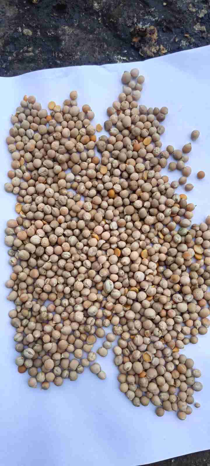 Главное изображение