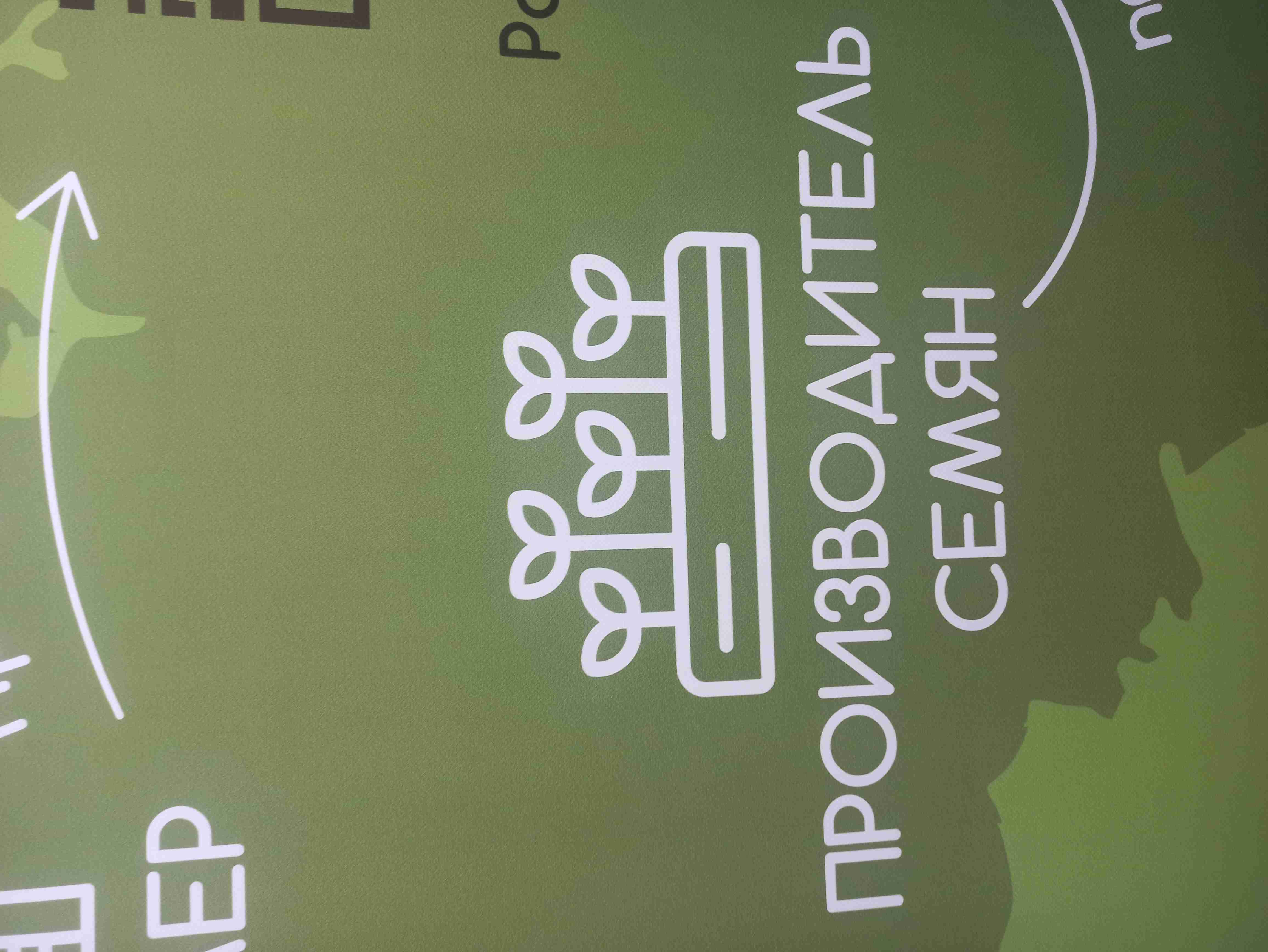 Фотография Семена