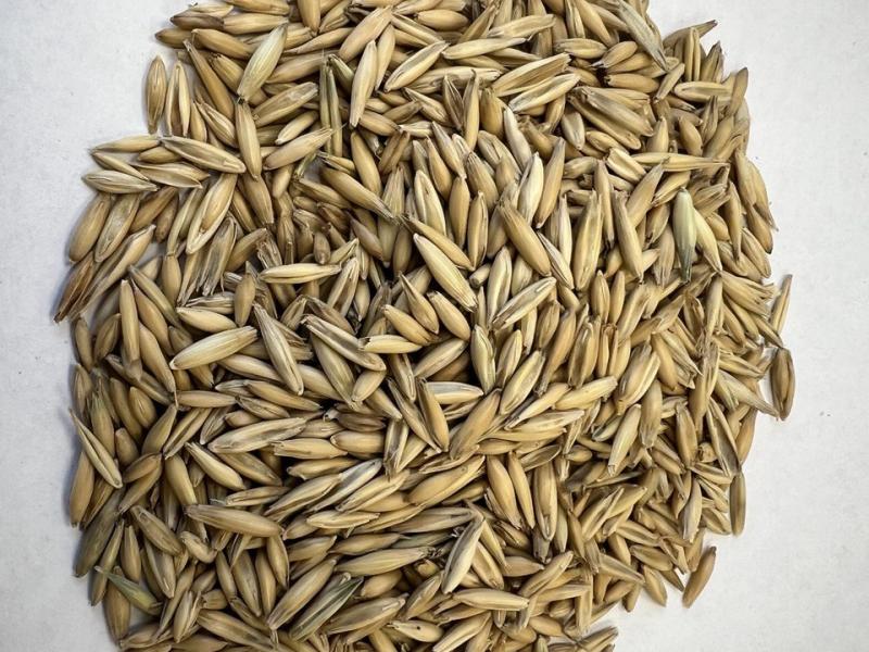 Слайдер слева