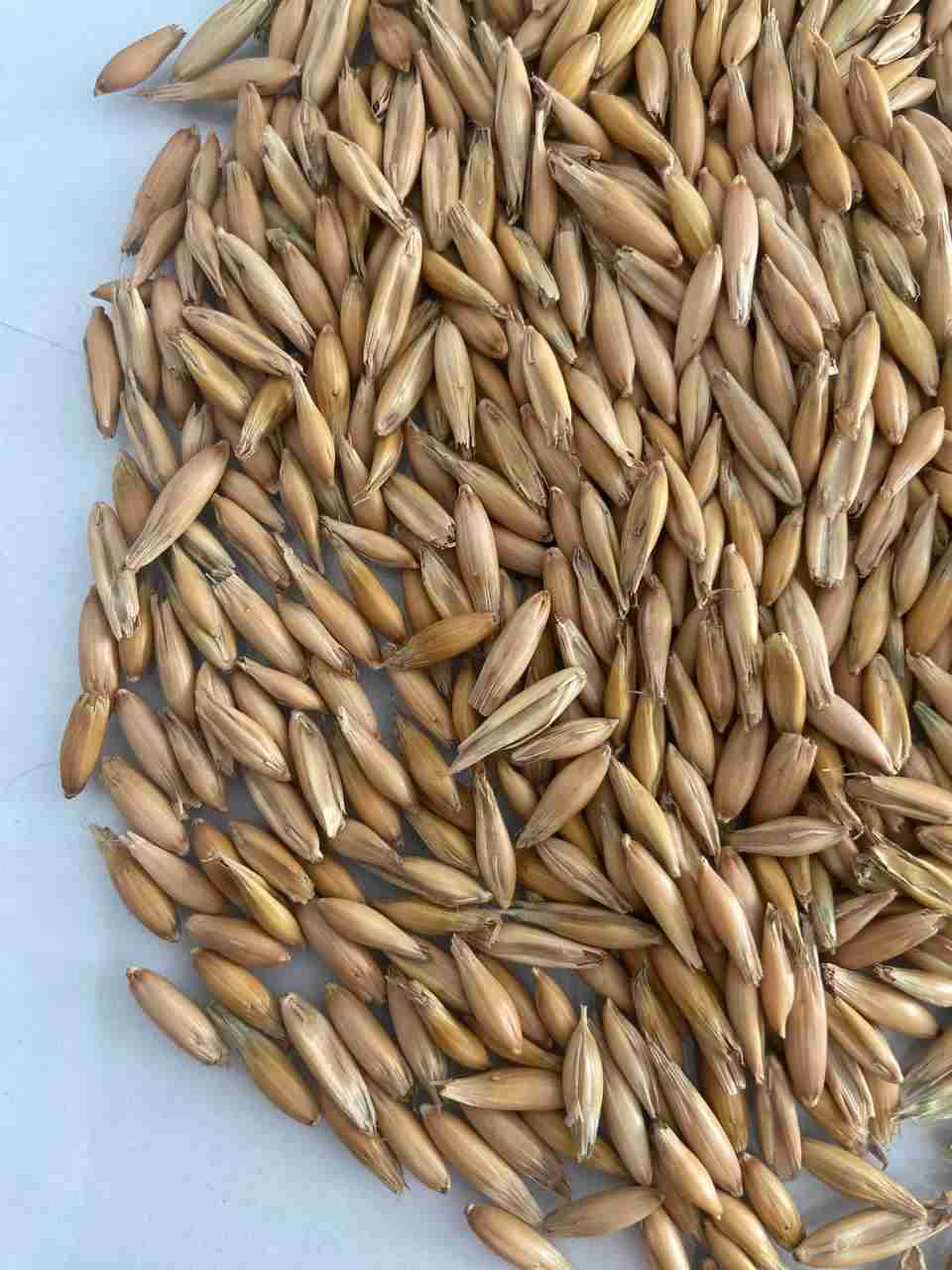 Слайдер слева