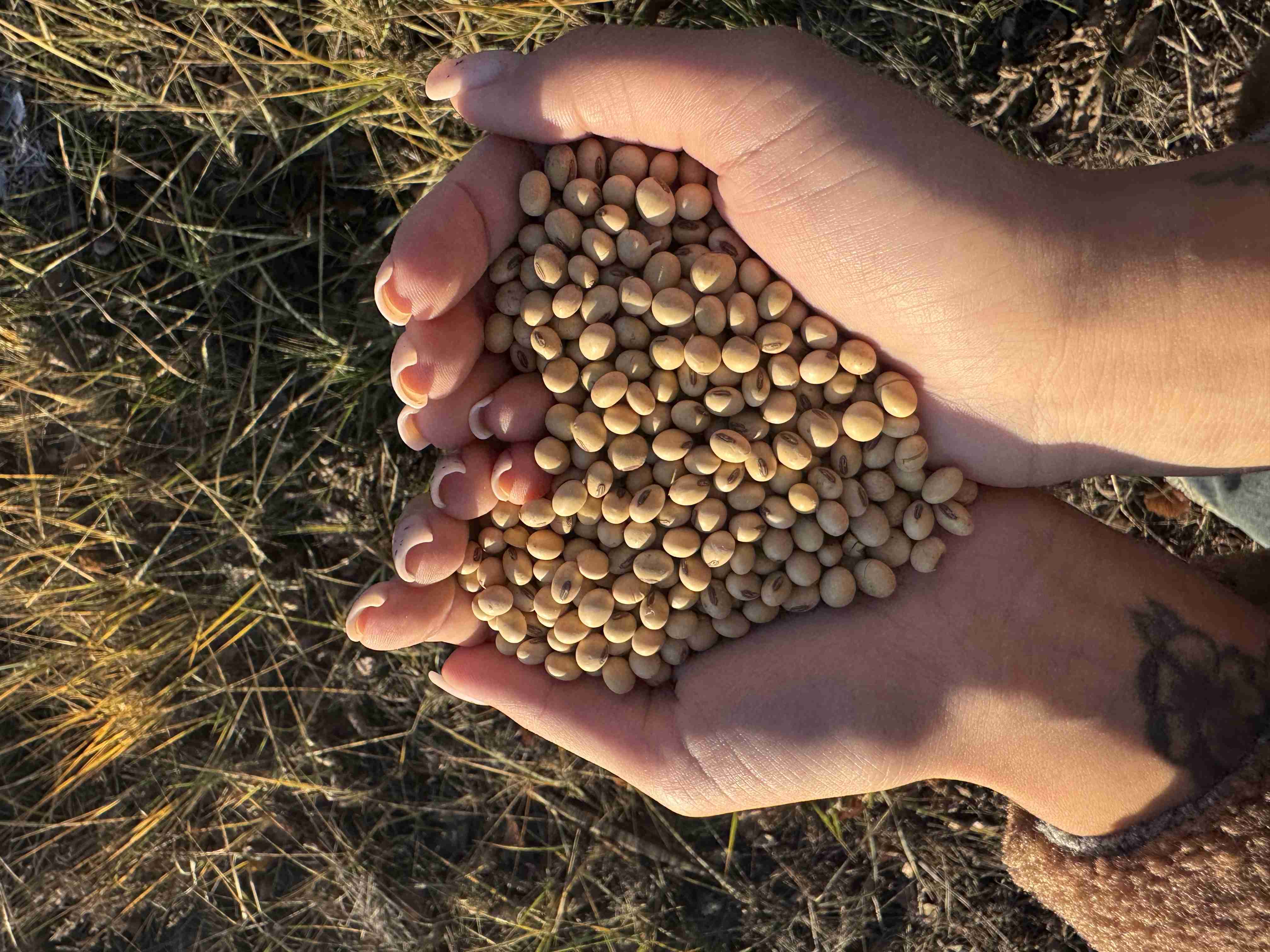 Слайдер слева