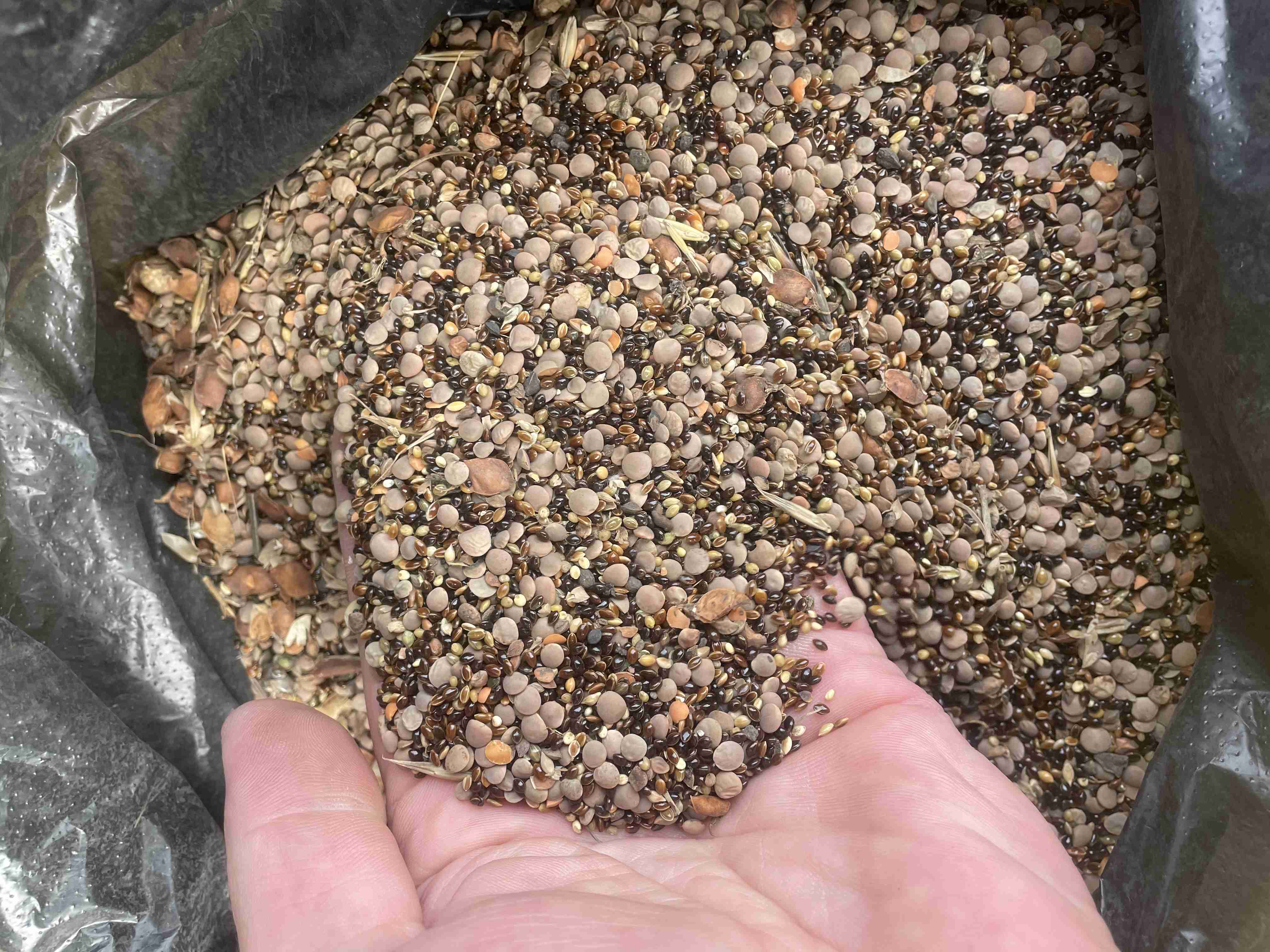 Фотография Закупаем зерноотходы