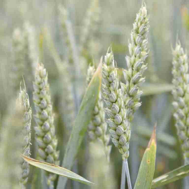 Слайдер слева