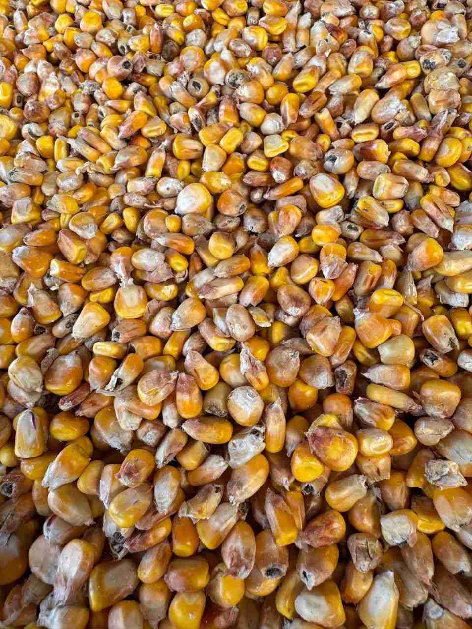 Слайдер слева