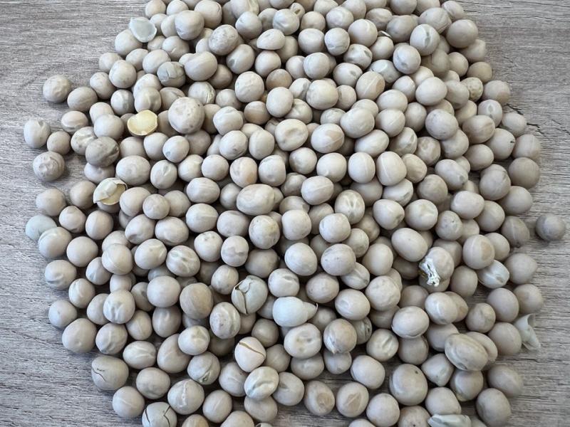 Фотография Продажа зерна гороха