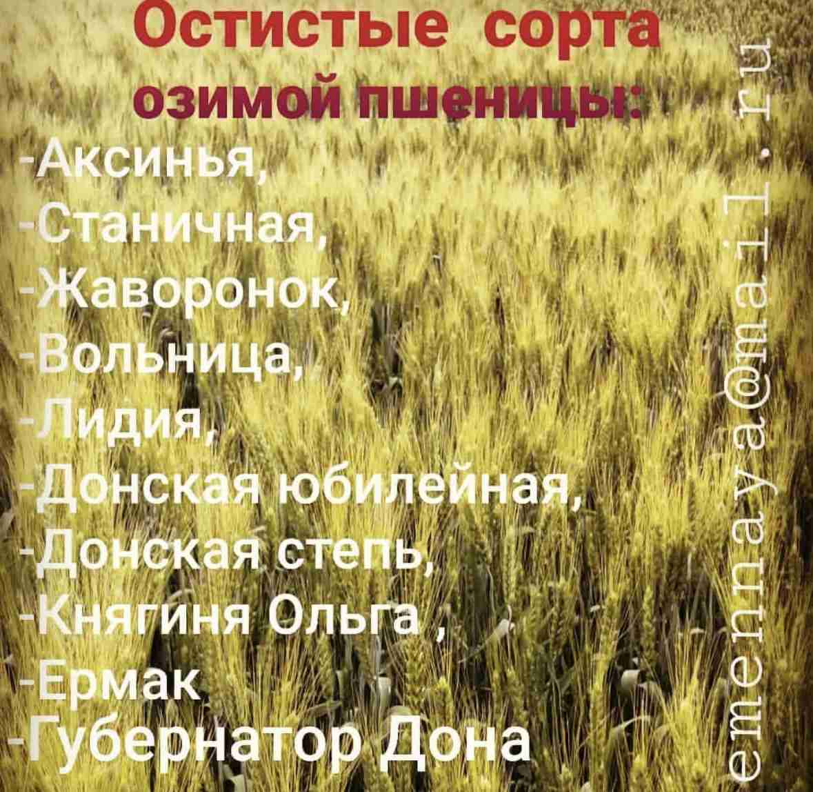 Слайдер слева