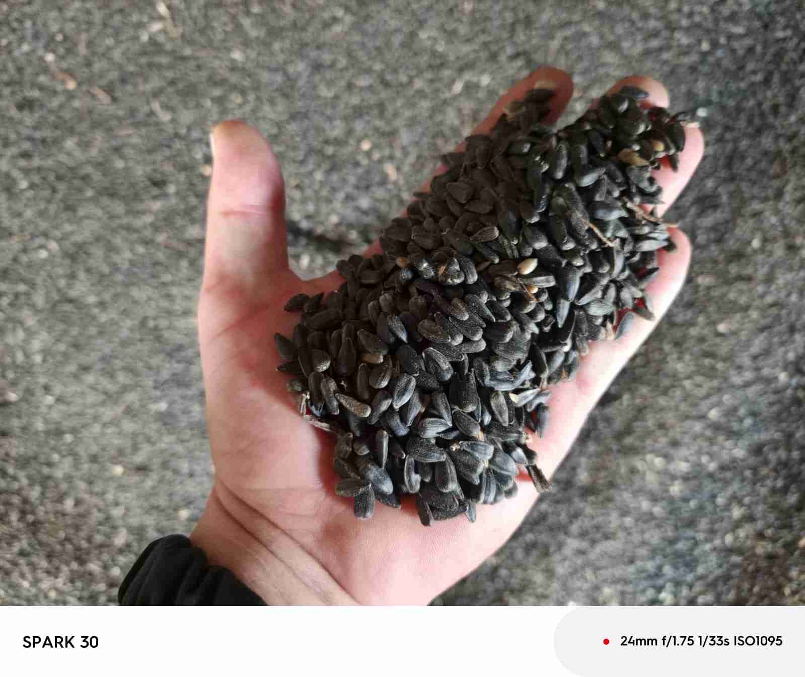 Главное изображение