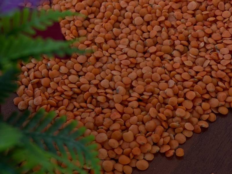 Фотография Реализую чечевицу красную