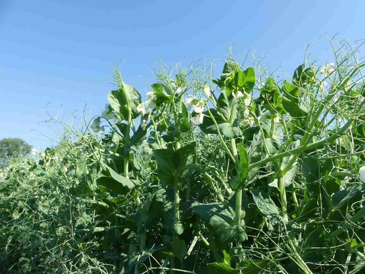 Слайдер слева