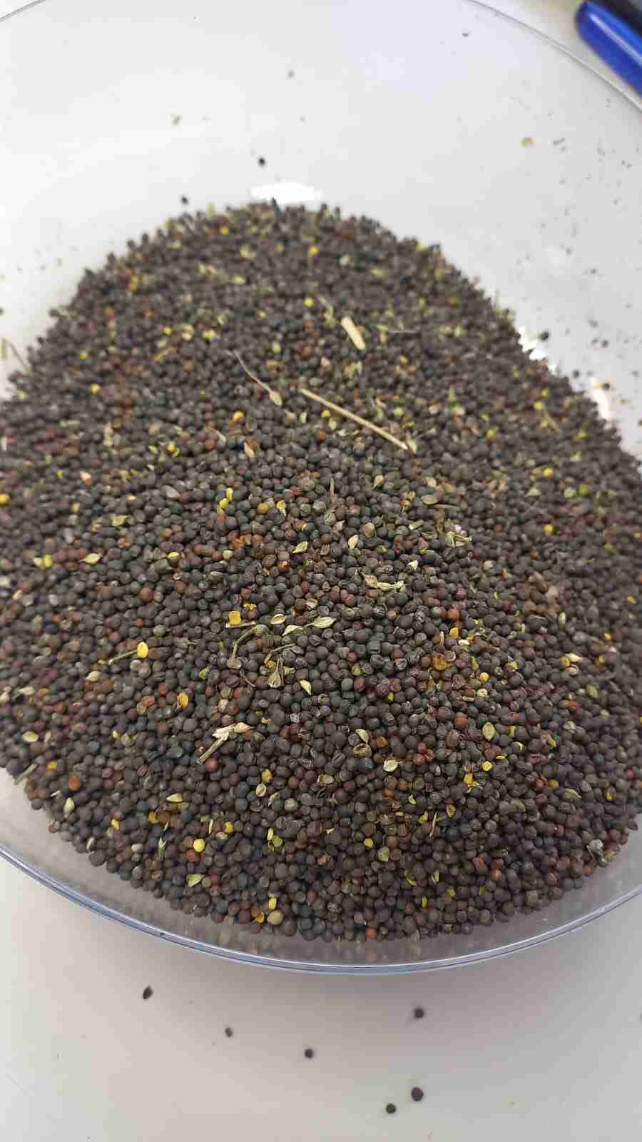 Слайдер справа