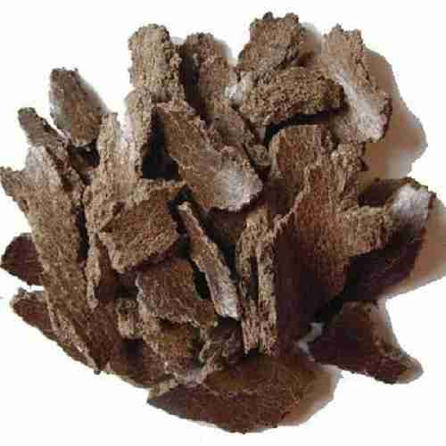 Фотография Жмых подсолнечный, рапсовый, льняной оптом