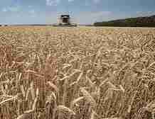 Слайдер слева