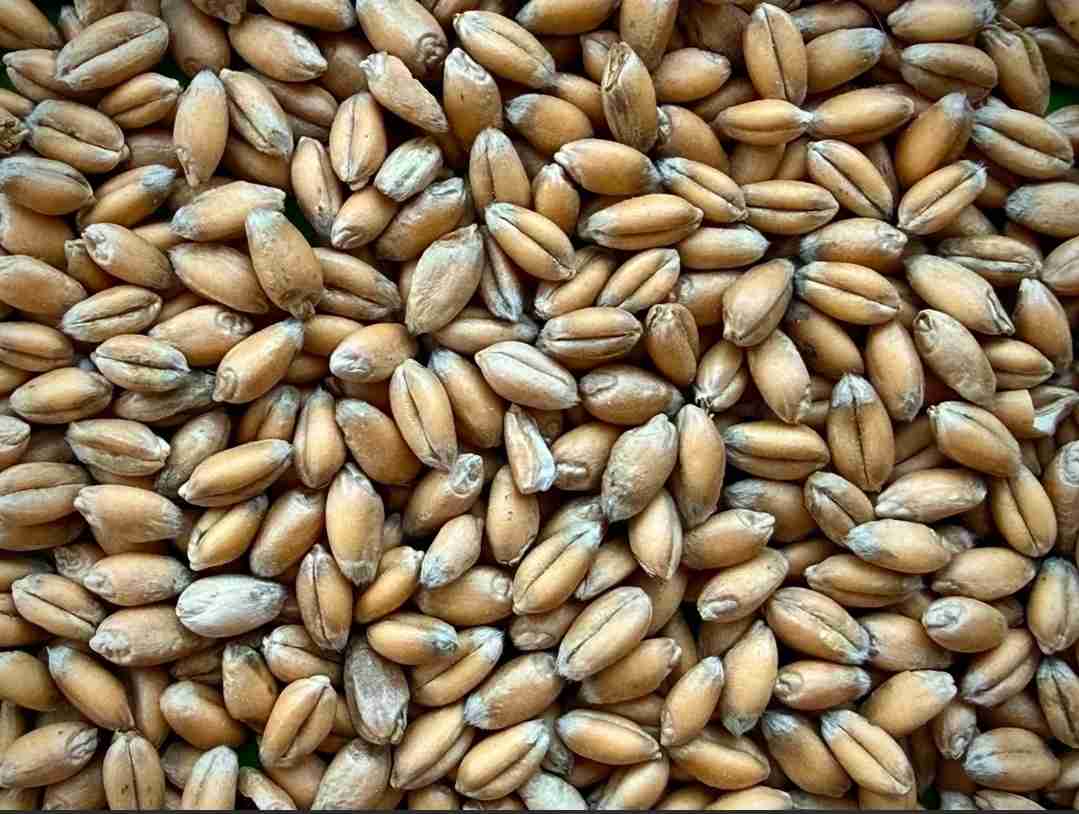 Слайдер слева