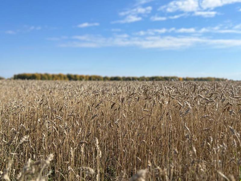 Слайдер слева