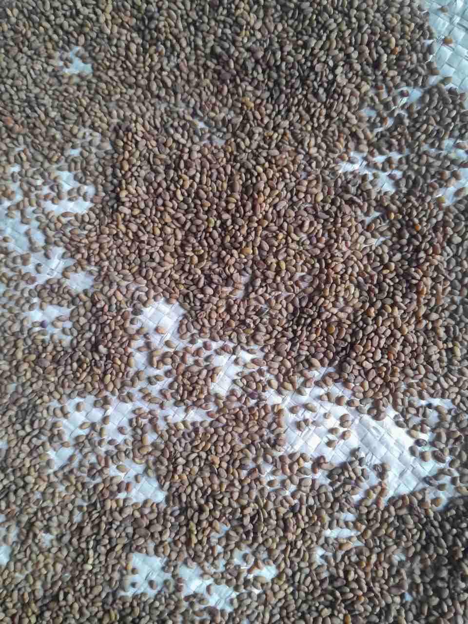 Слайдер слева