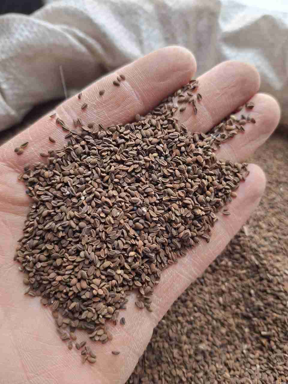 Слайдер слева