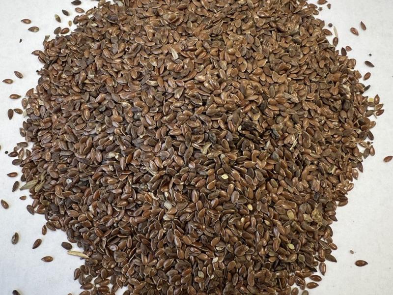 Фотография Продам Лён Масличный