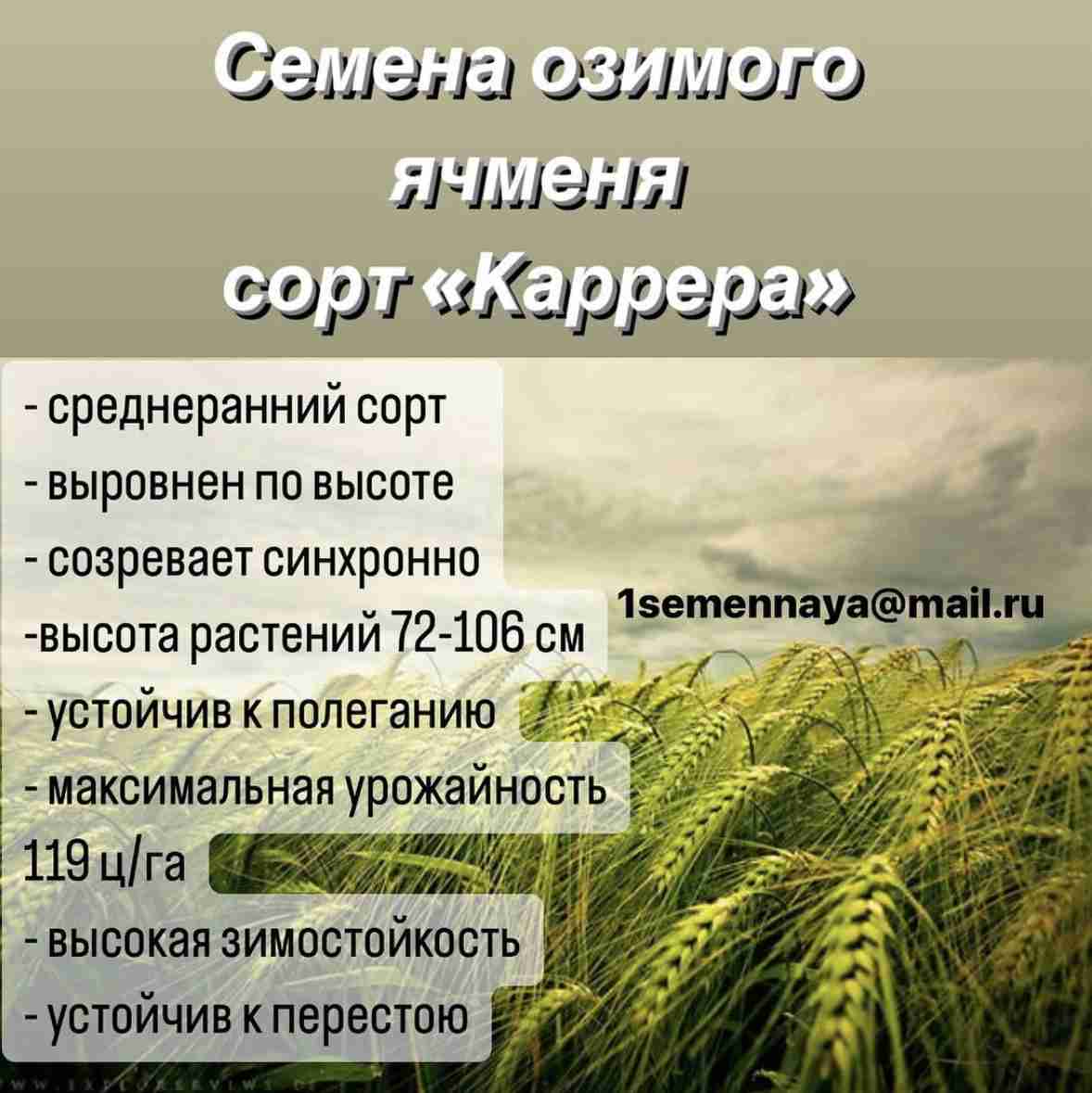 Главное изображение