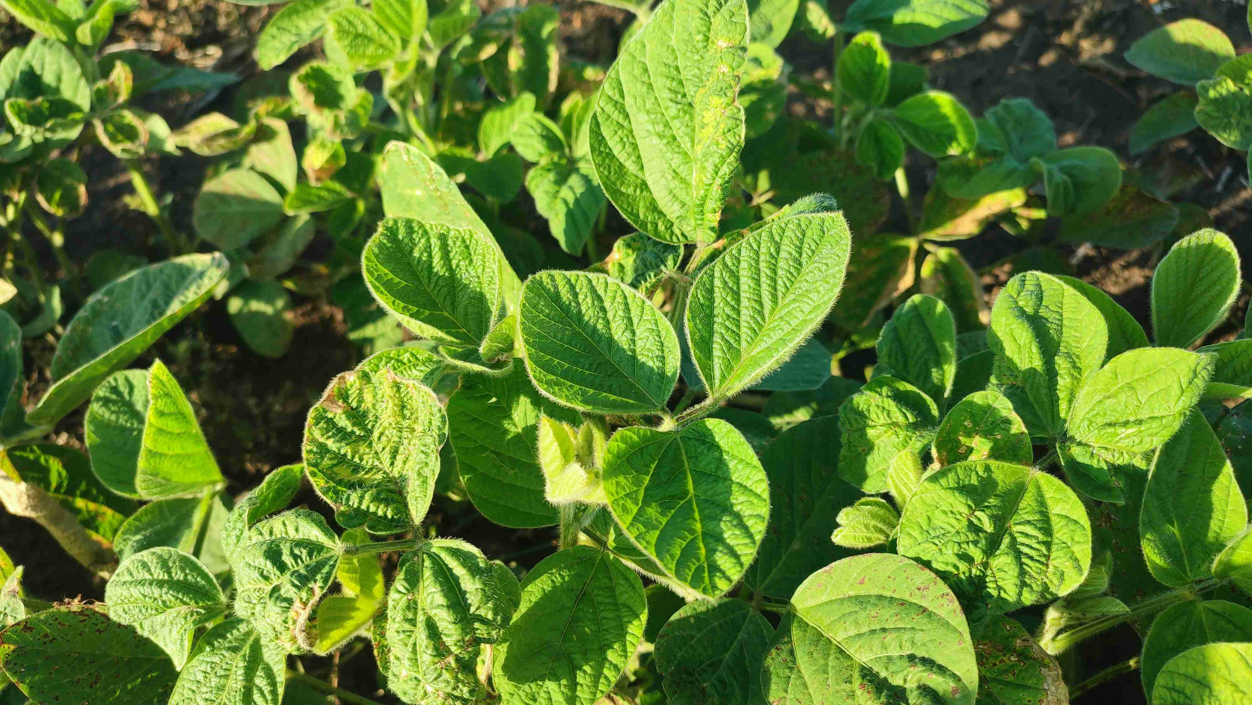 Слайдер слева