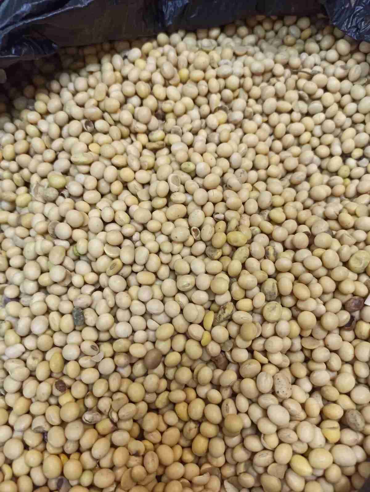 Главное изображение