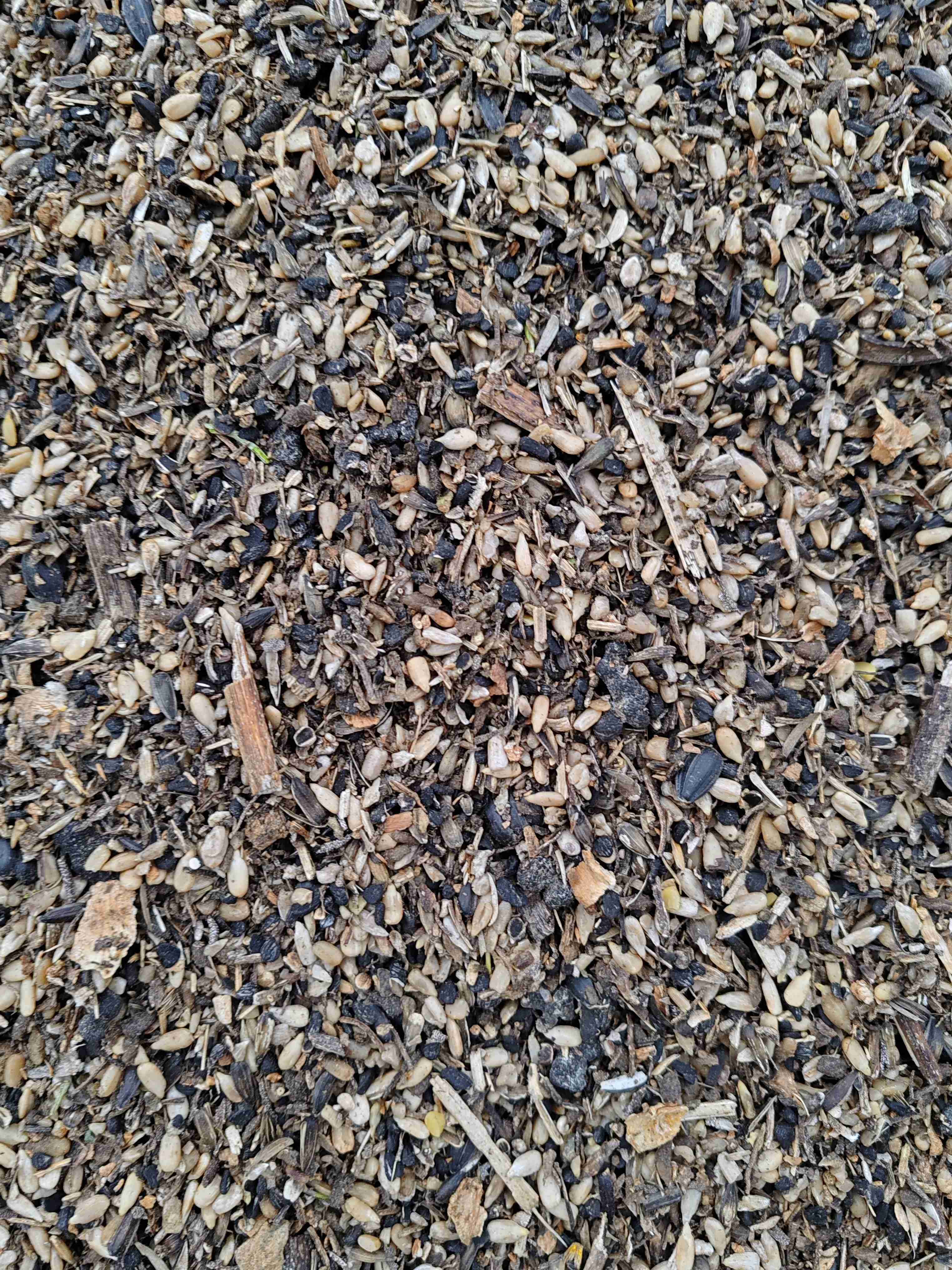 Фотография Подсолнечные отходы