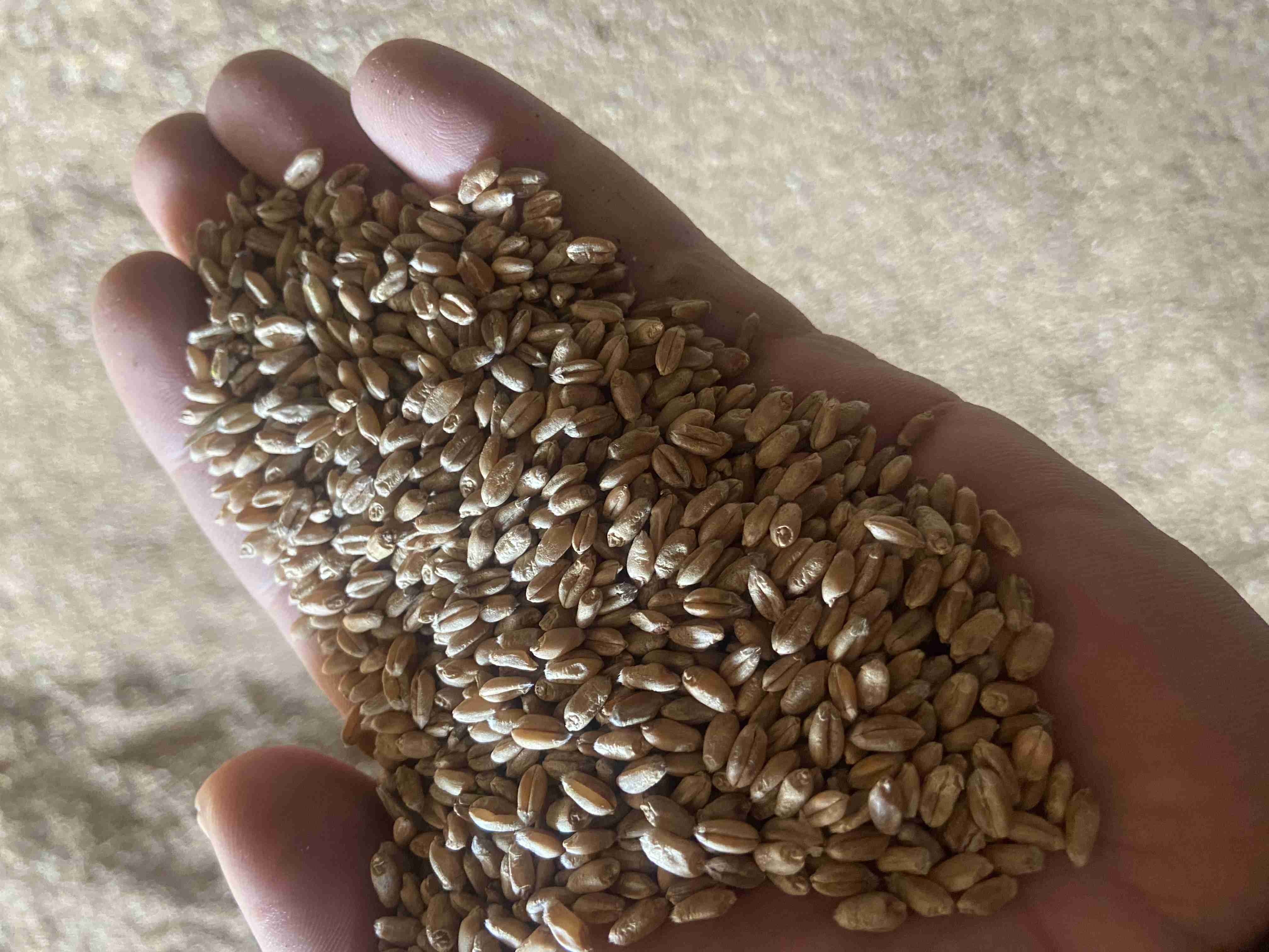 Слайдер справа