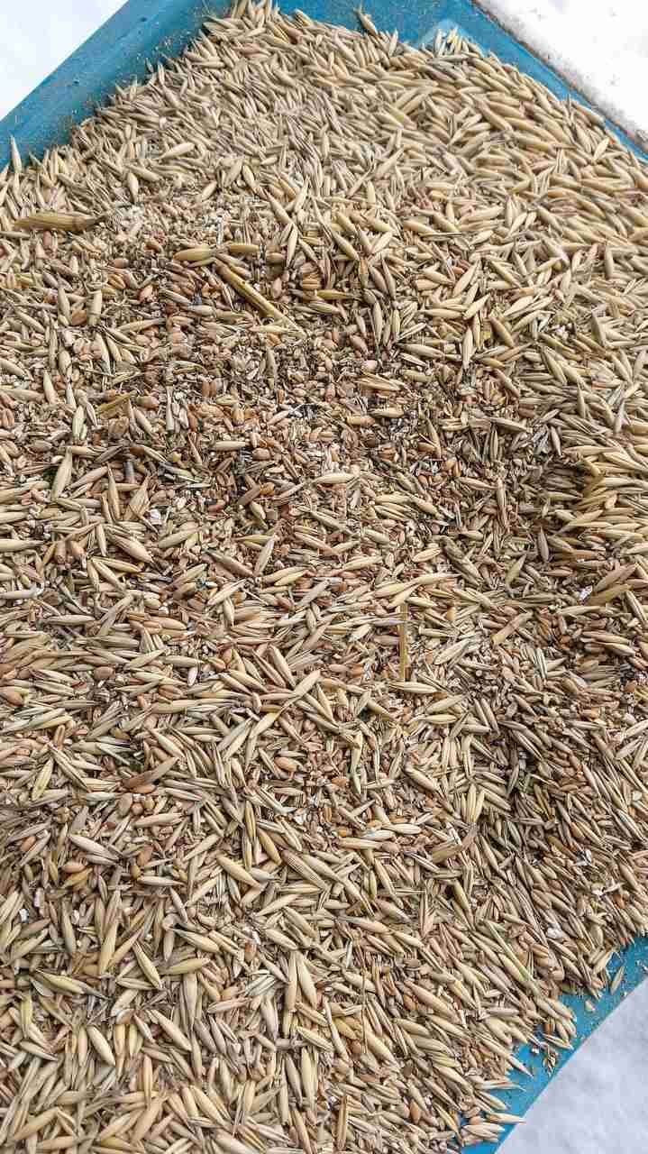 Главное изображение