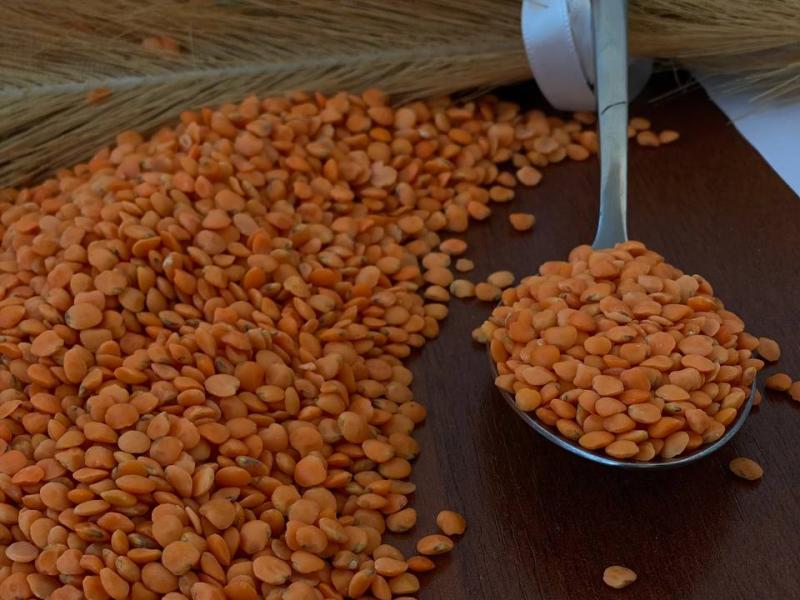 Фотография Продам чечевицу красную