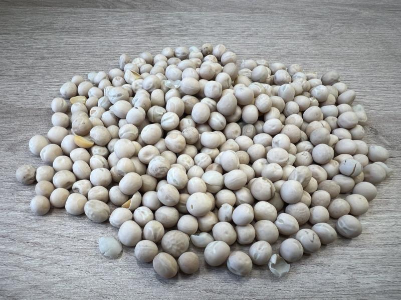 Фотография Продам семена гороха Ла Манш РС3