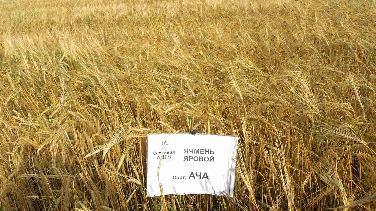 Слайдер слева