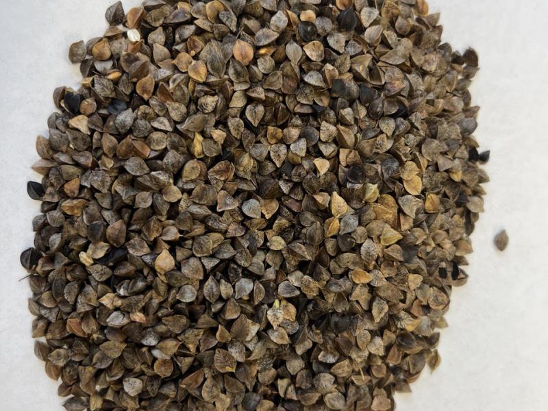 Слайдер слева