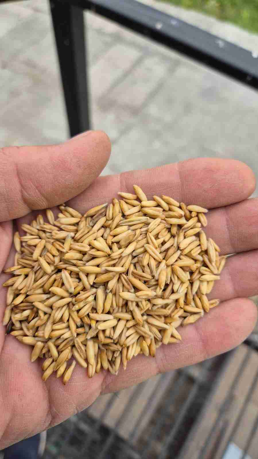 Главное изображение