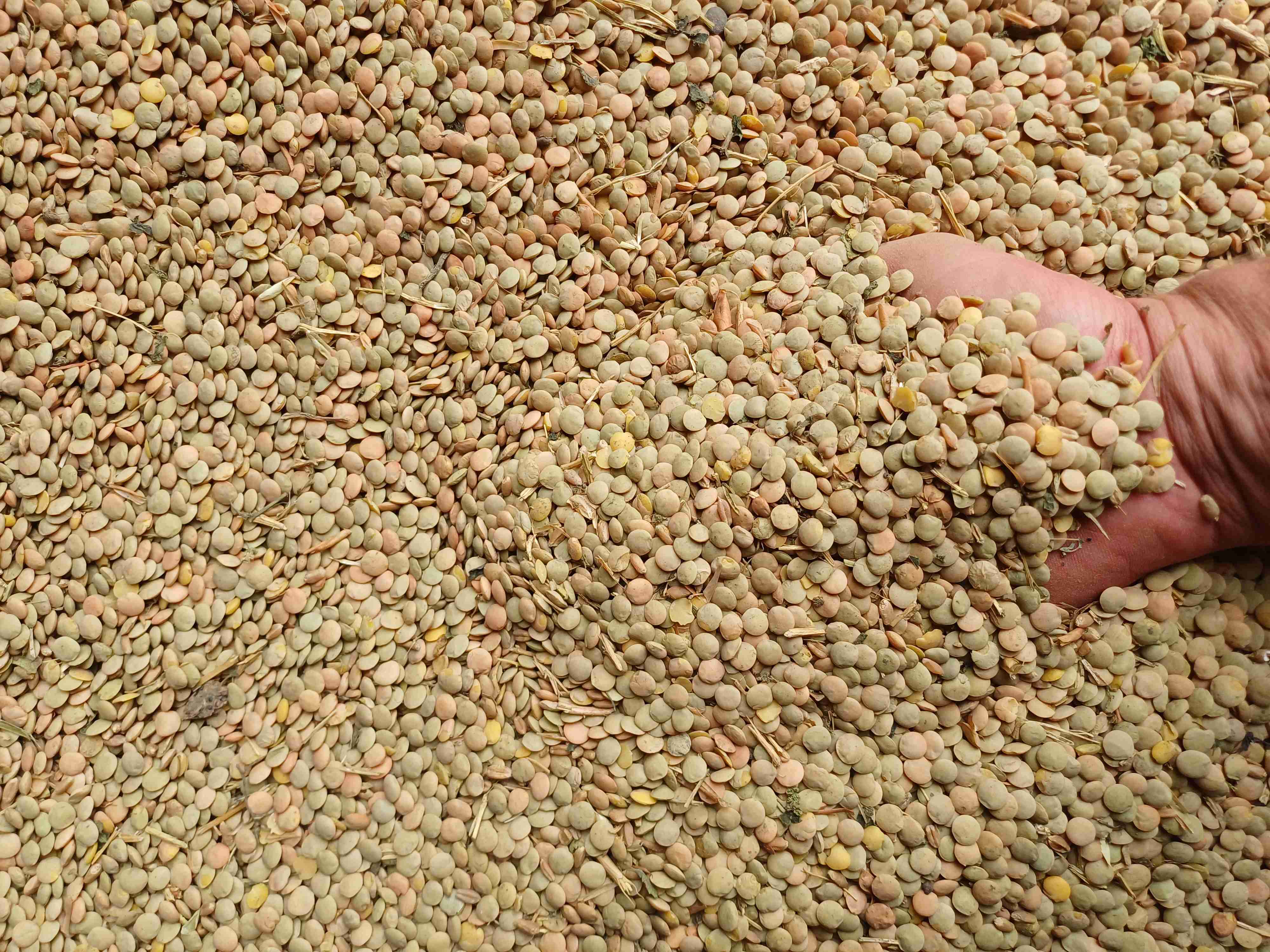 Слайдер слева