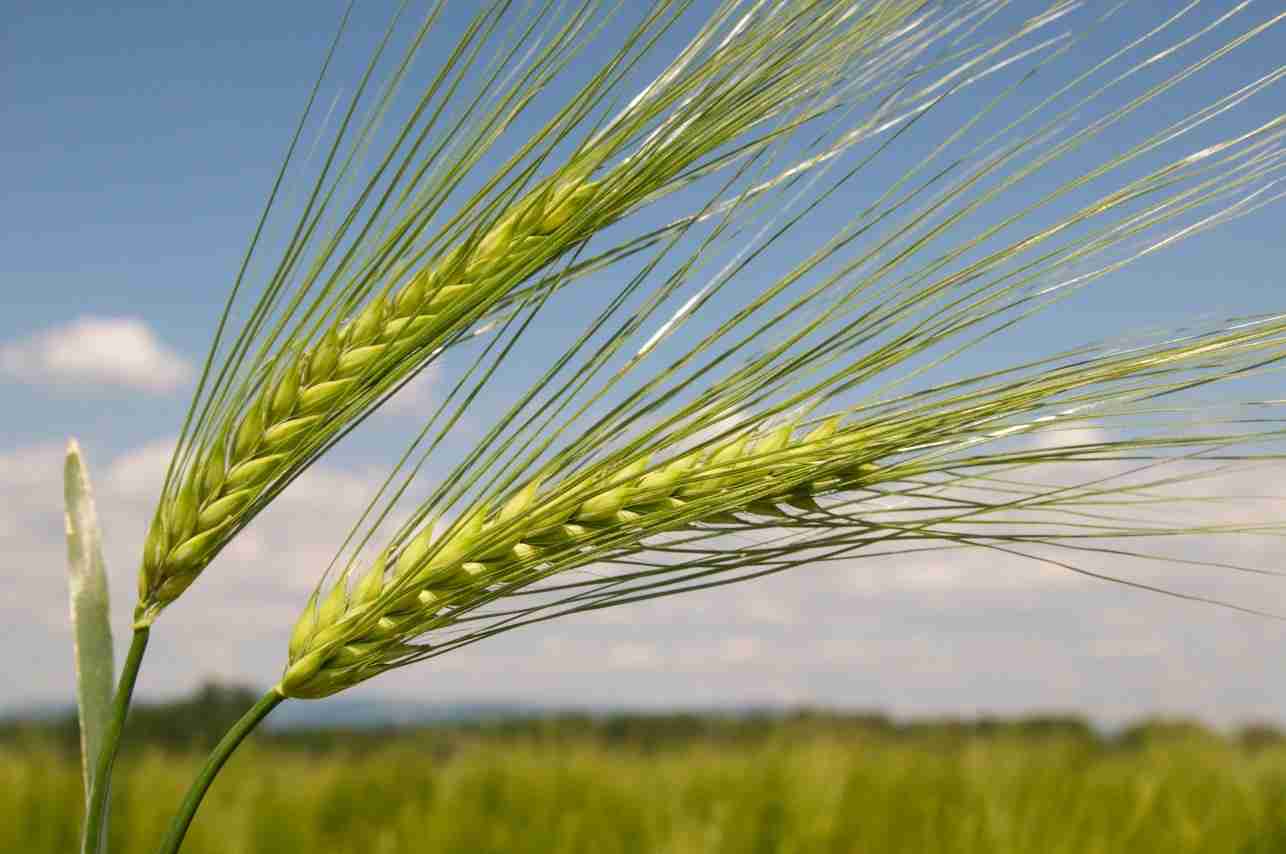 Слайдер слева