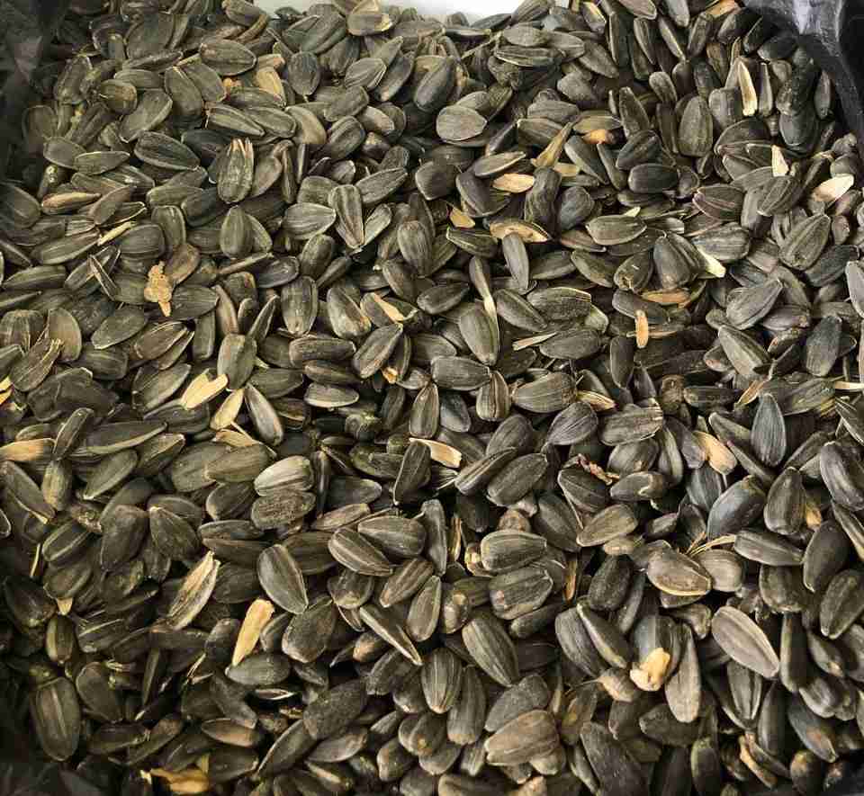 Главное изображение