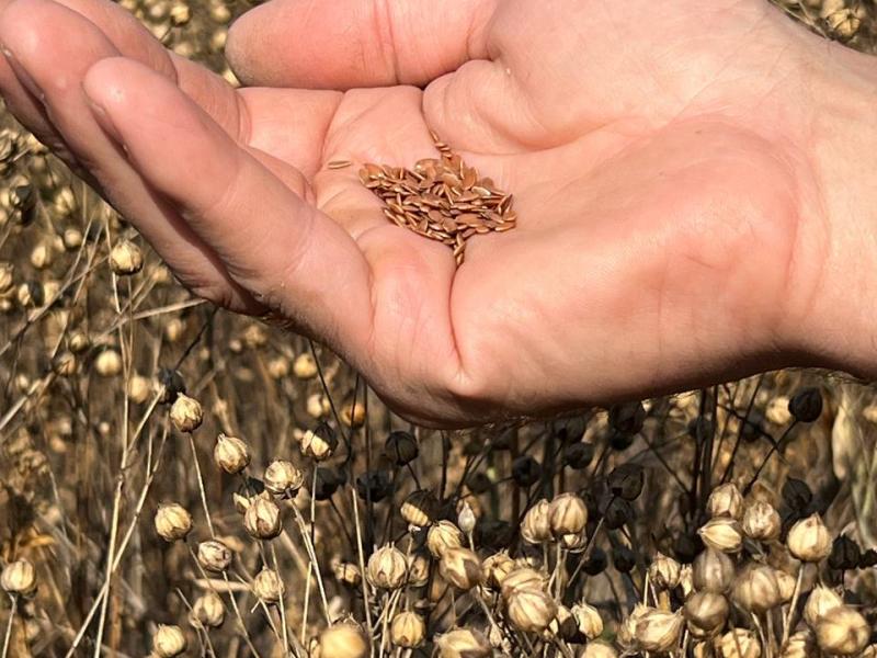 Слайдер слева