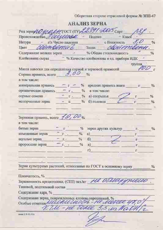 Превью