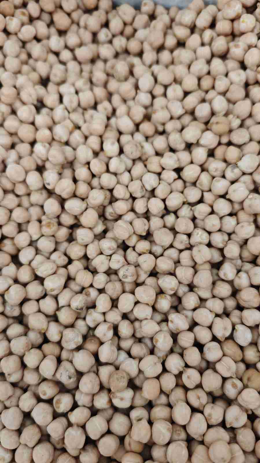 Главное изображение