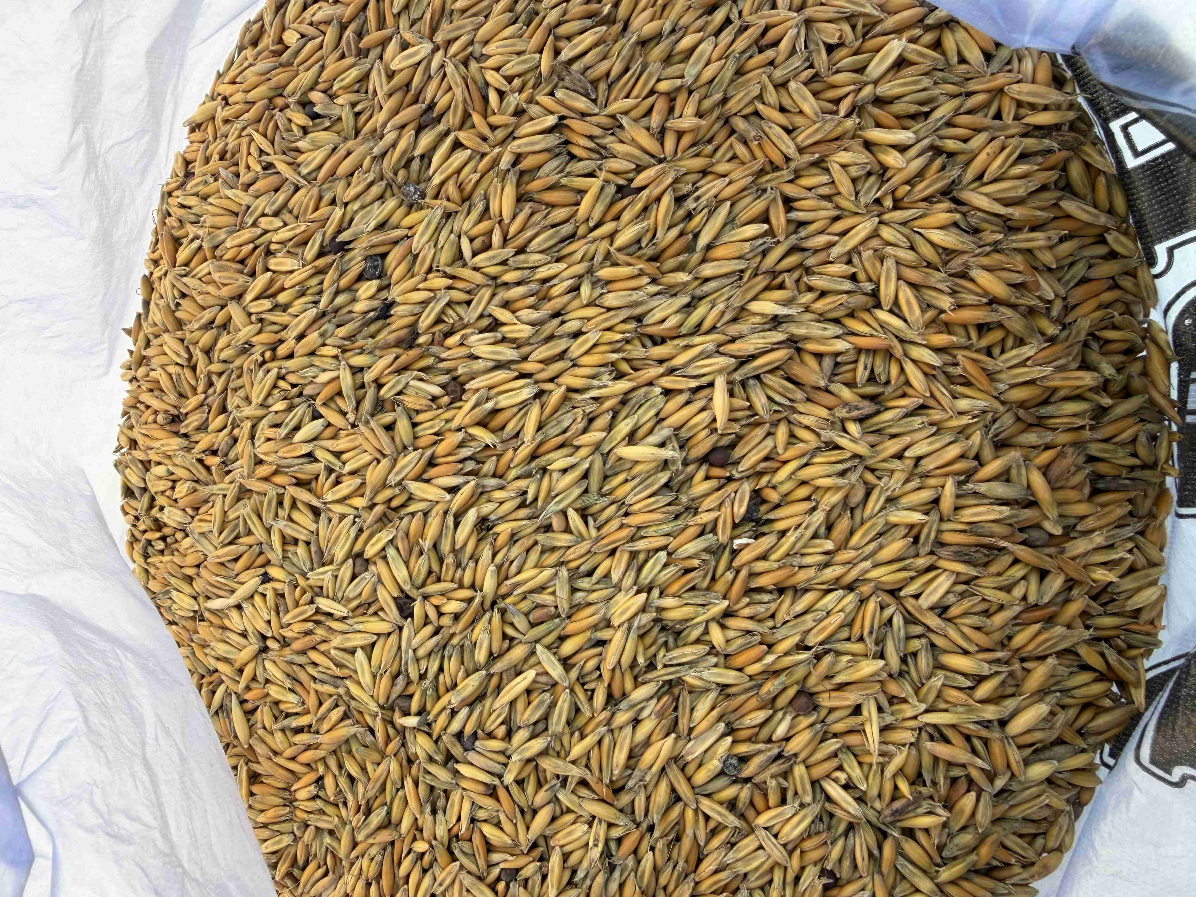 Слайдер слева