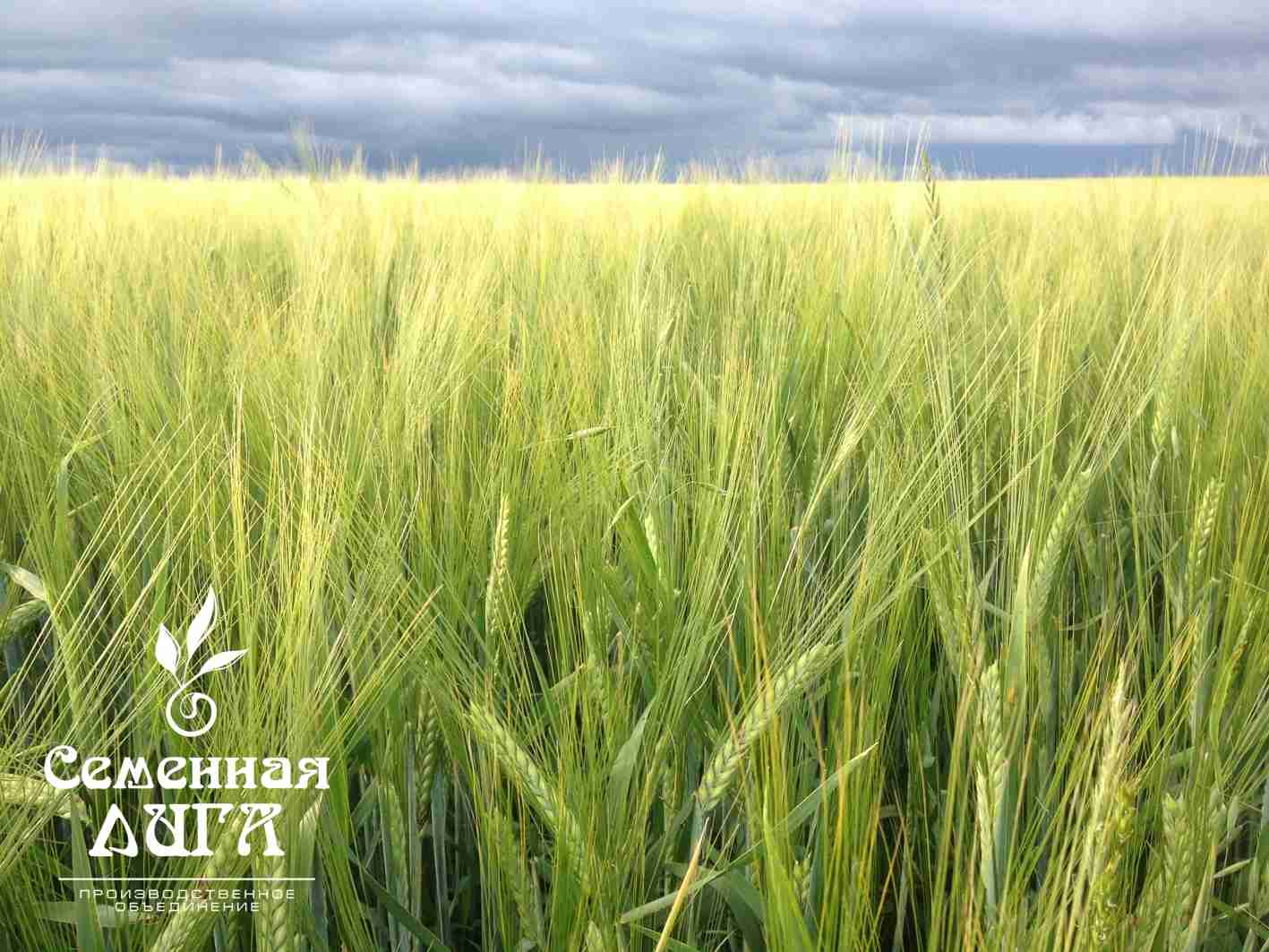 Слайдер слева