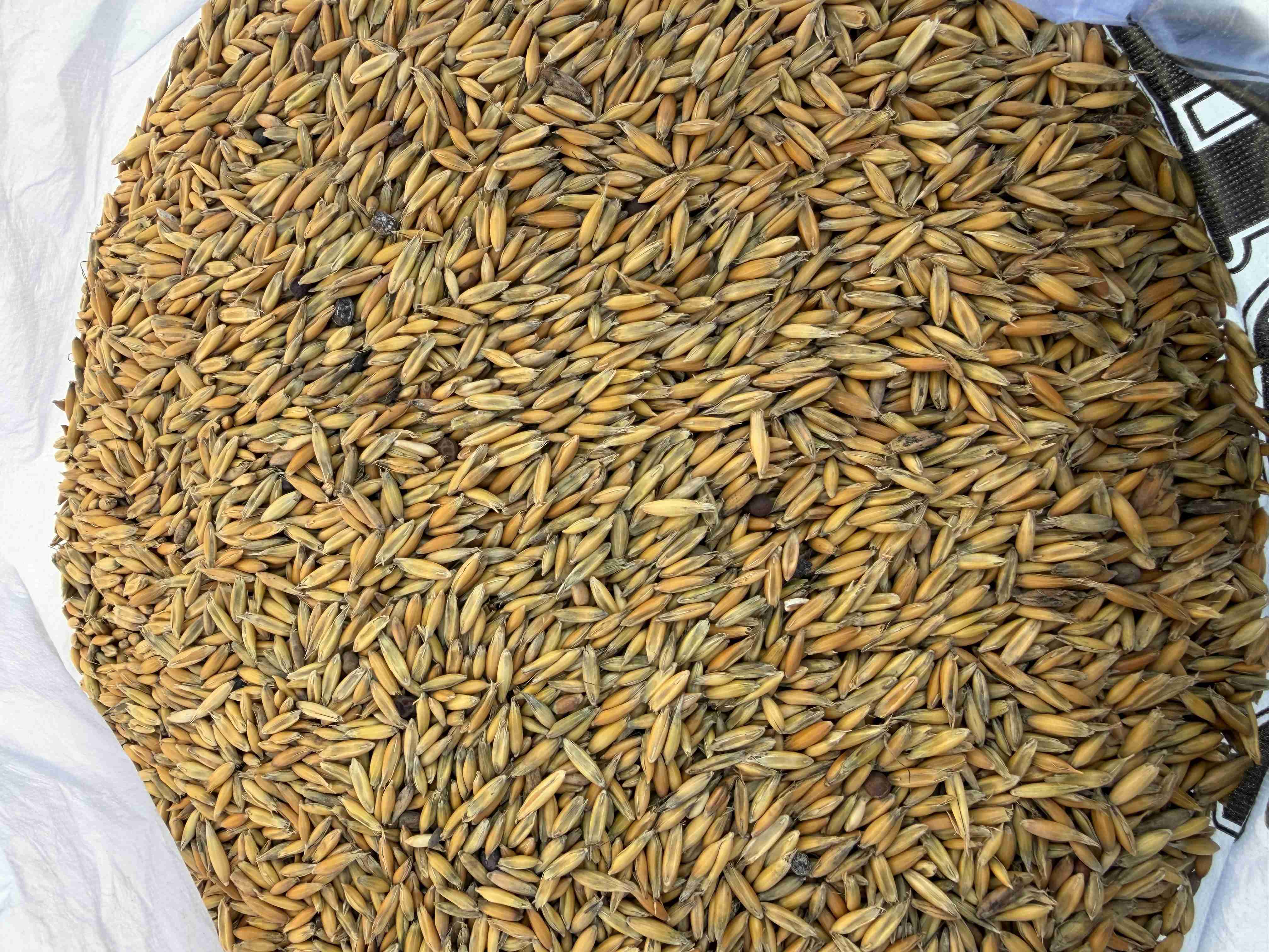 Главное изображение