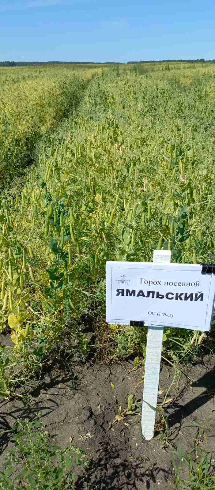 Слайдер справа