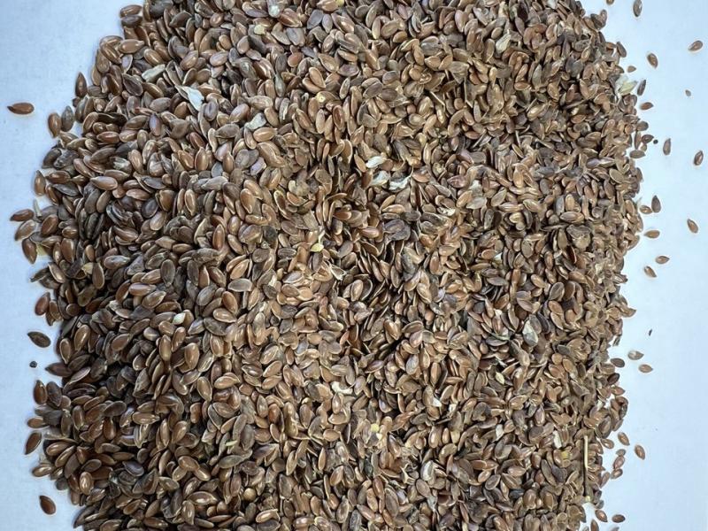 Фотография Зерно, Лён масличный, Класс 1