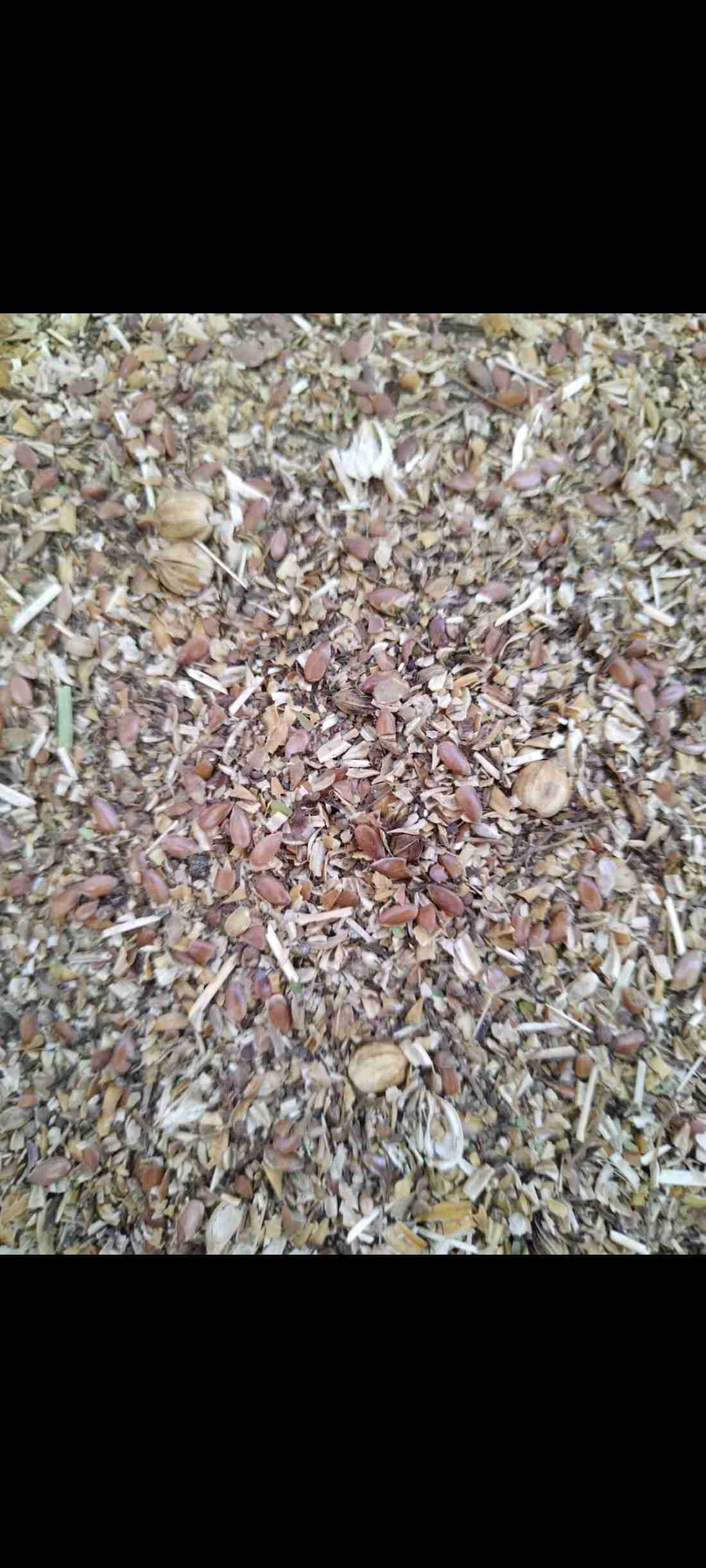 Фотография Льняные отходы.