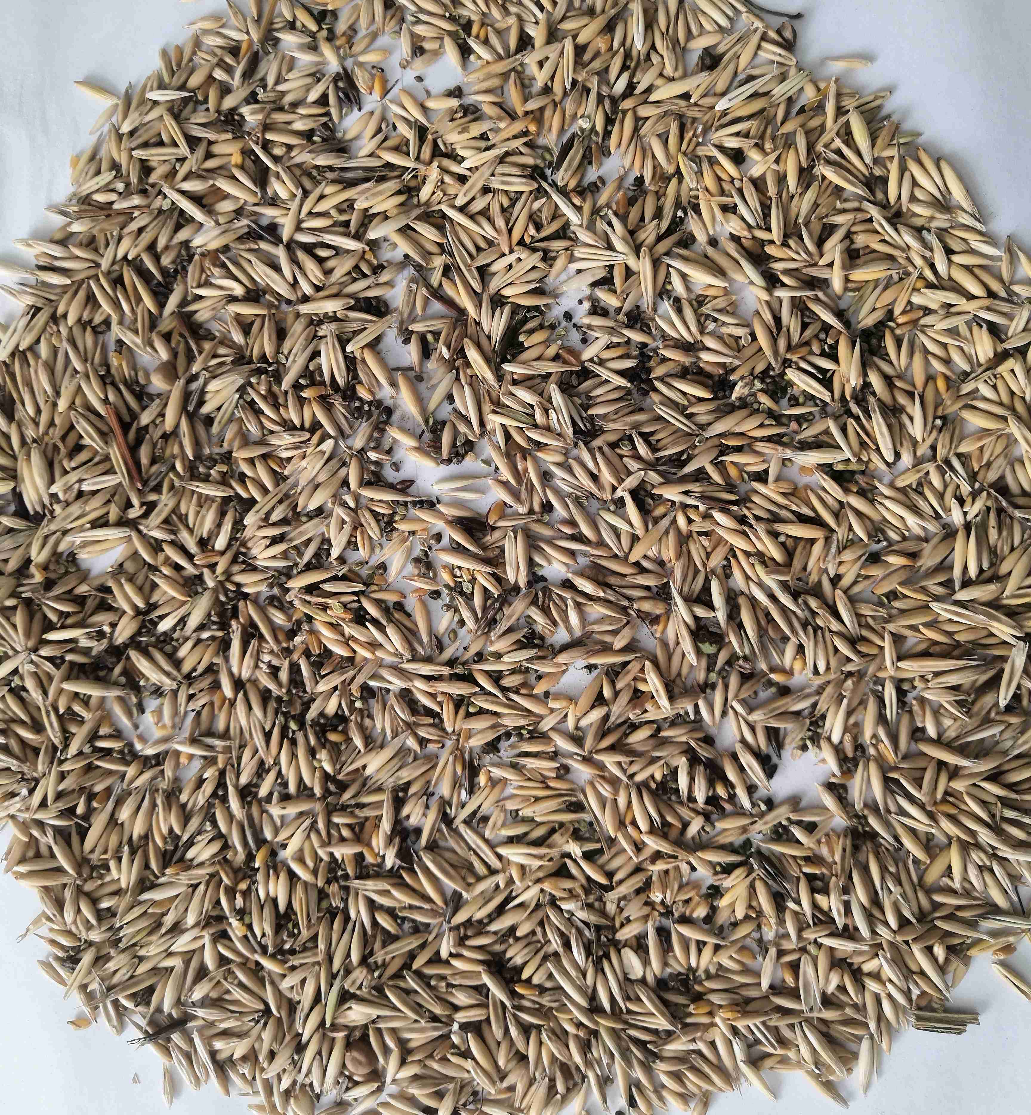 Слайдер слева