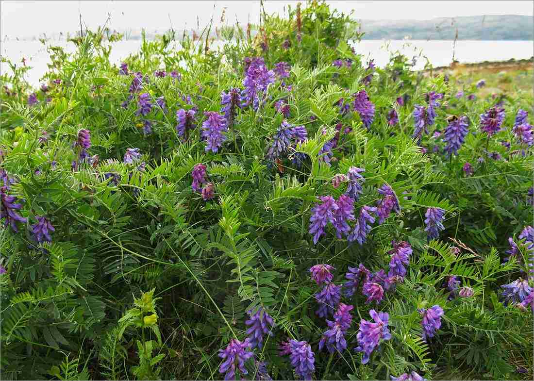 Слайдер слева