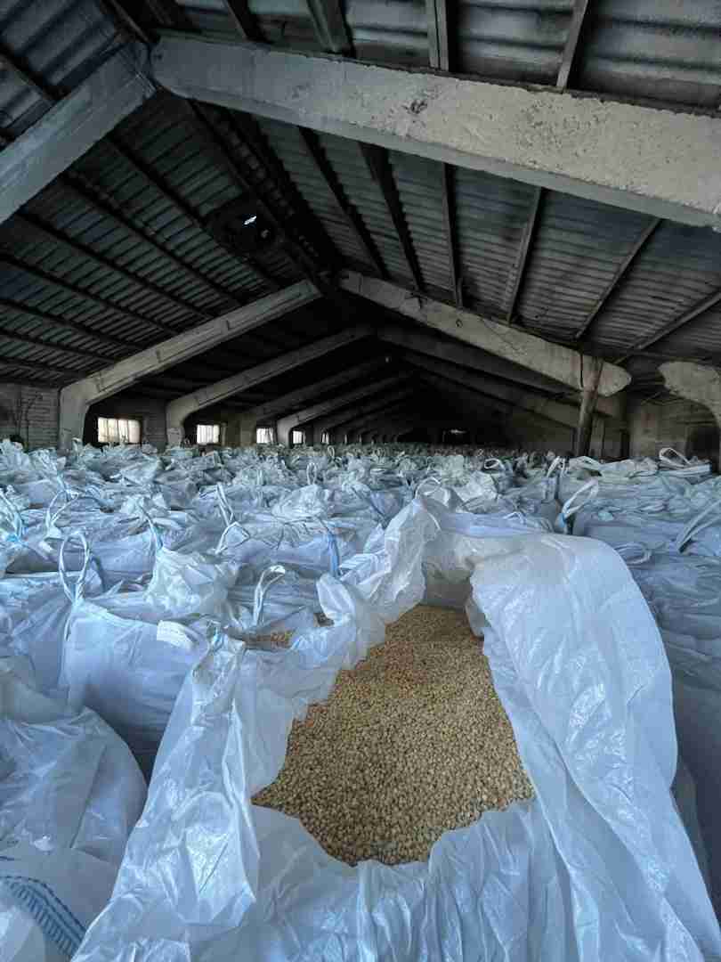 Главное изображение