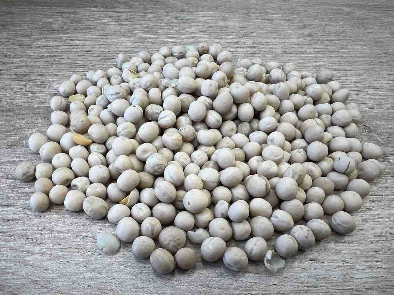 Фотография семена гороха