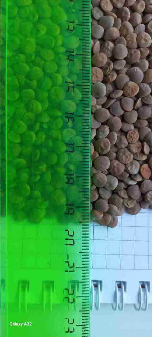 Главное изображение